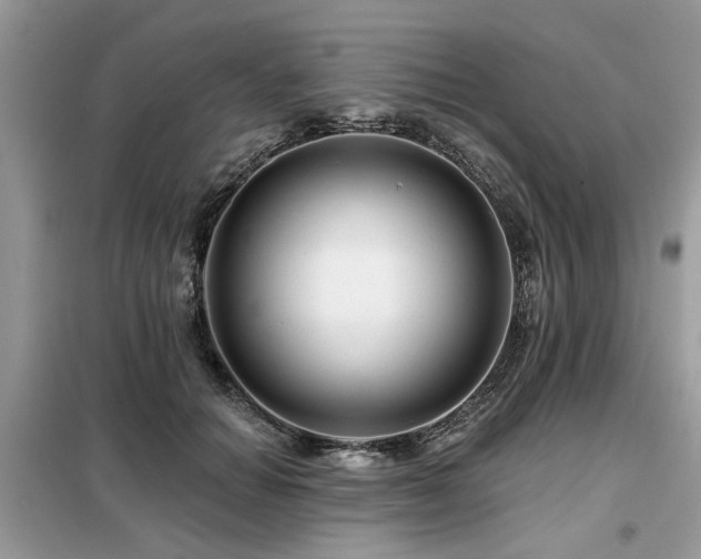 X0000099420654200805091244