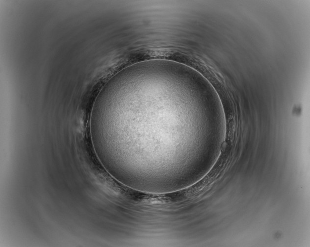 X0000099420655200805091244