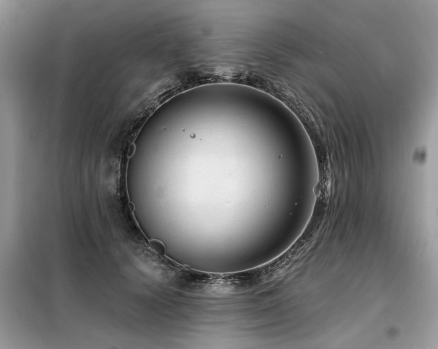 X0000099420656200805091244