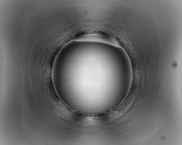 X0000099420657200805091244