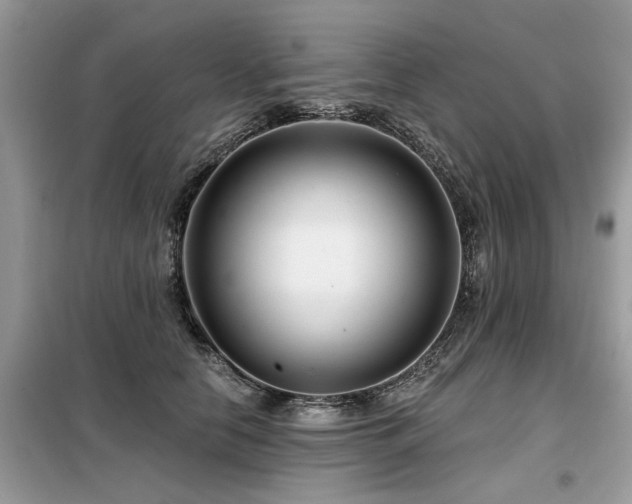 X0000099420658200805091244
