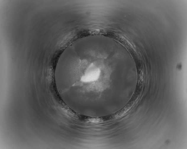 X0000099420659200805091244
