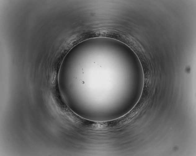 X0000099420660200805091244