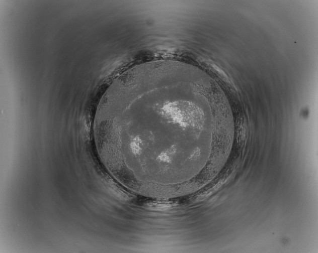 X0000099420661200805091244