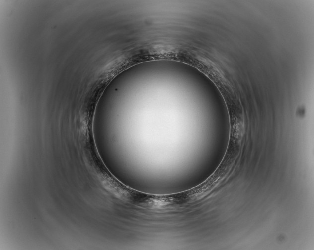 X0000099420662200805091244