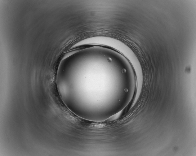 X0000099420665200805091244