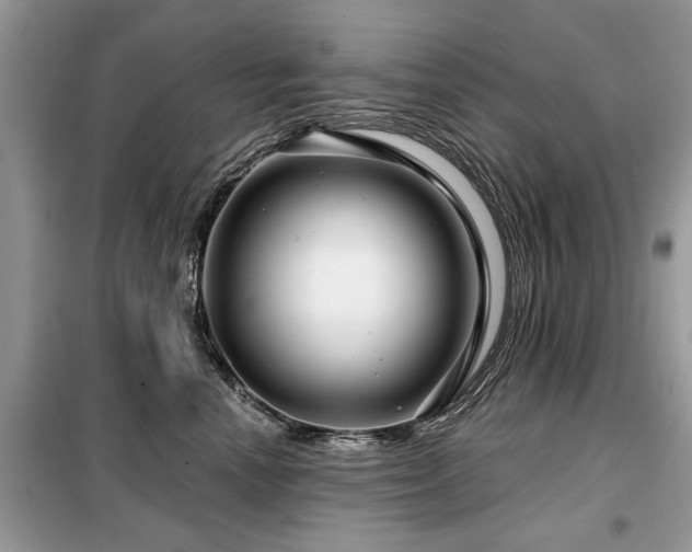 X0000099420666200805091244