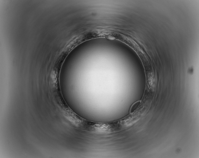 X0000099420667200805091244