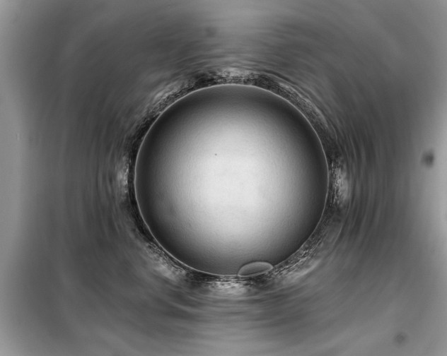 X0000099420668200805091244