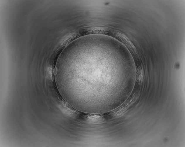 X0000099420669200805091244