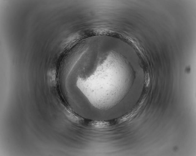 X0000099420670200805091244