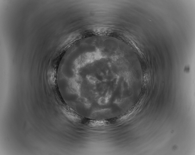 X0000099420671200805091244