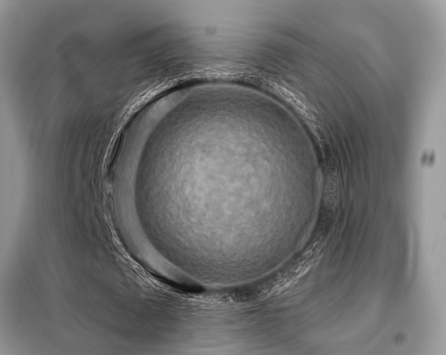 X0000099420673200805091243