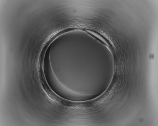 X0000099420674200805091243
