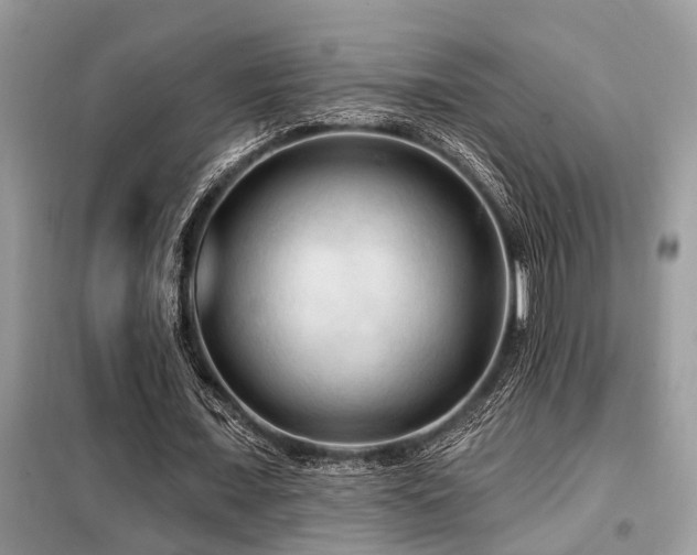 X0000099420675200805091243