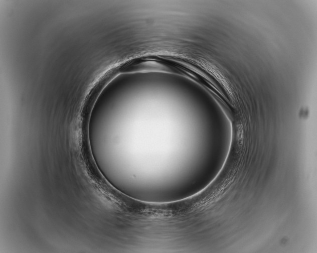 X0000099420676200805091243
