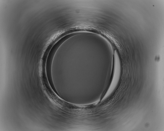 X0000099420678200805091243