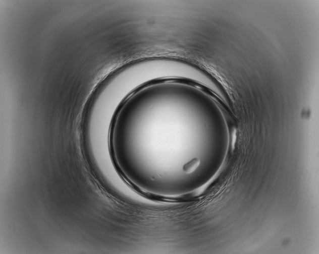 X0000099420679200805091243