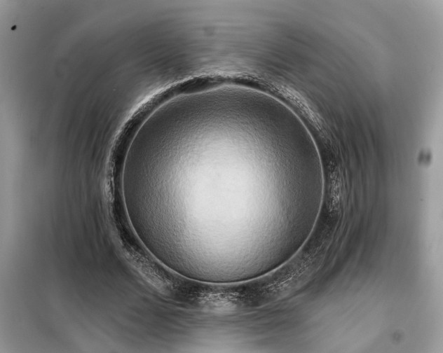 X0000099420680200805091243