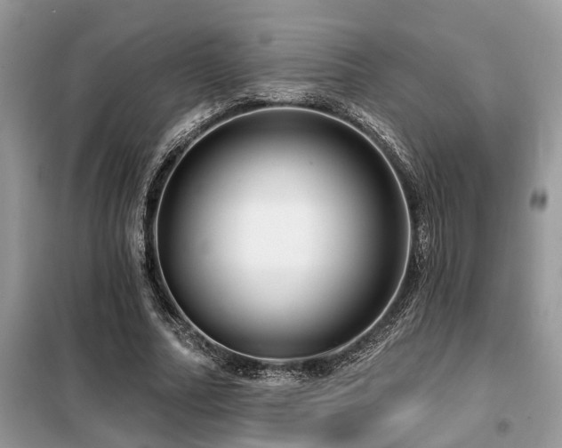 X0000099420682200805091243