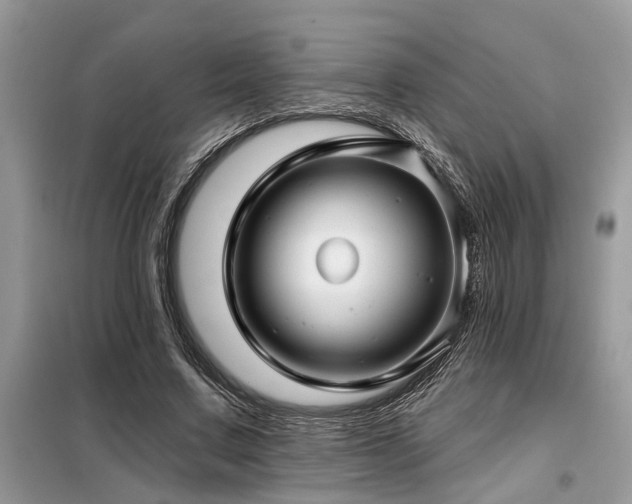 X0000099420683200805091243