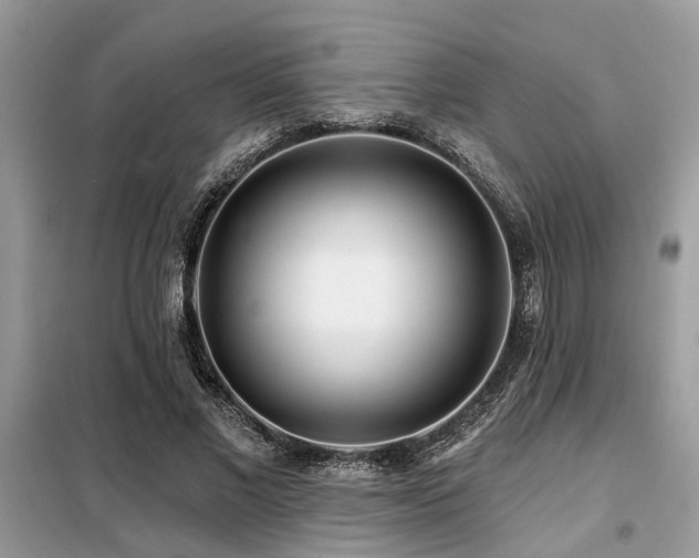 X0000099420685200805091243