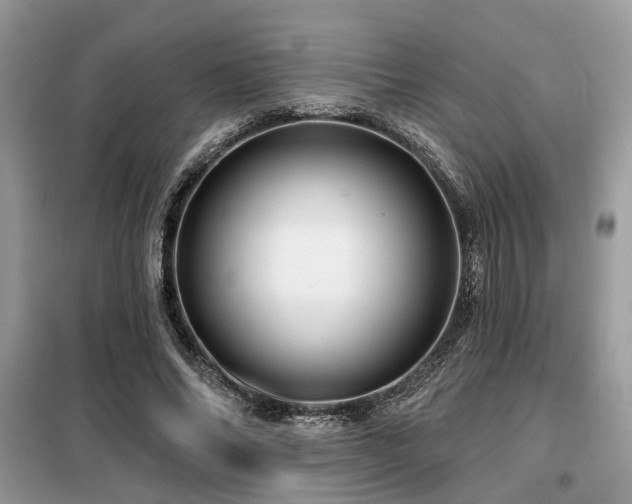 X0000099420686200805091243