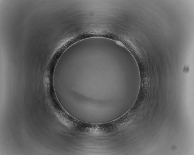 X0000099420688200805091243