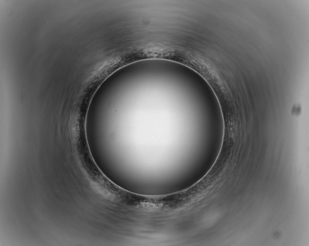 X0000099420690200805091243