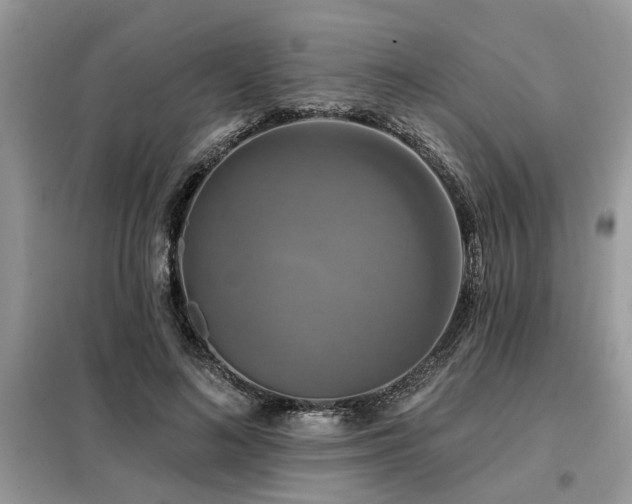 X0000099420692200805091243