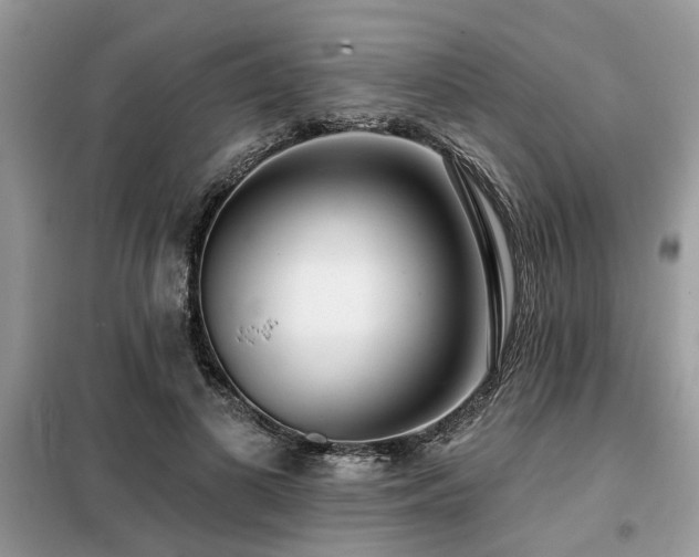 X0000099420693200805091243