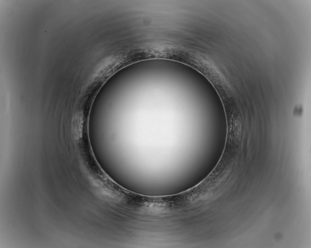 X0000099420694200805091243