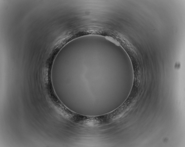 X0000099420696200805091243