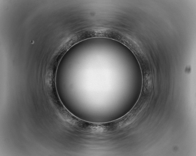 X0000099420698200805091243