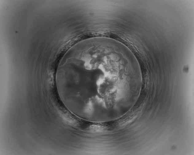 X0000099420699200805091243
