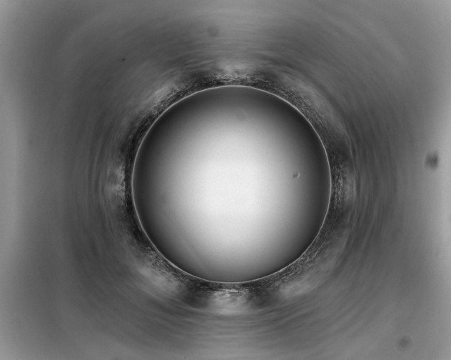 X0000099420700200805091243