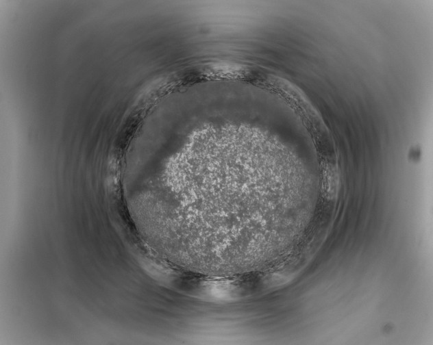 X0000099420701200805091243