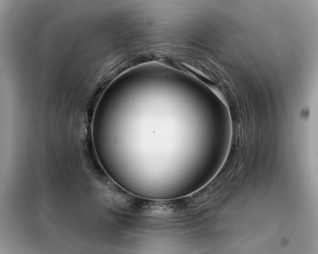 X0000099420702200805091243
