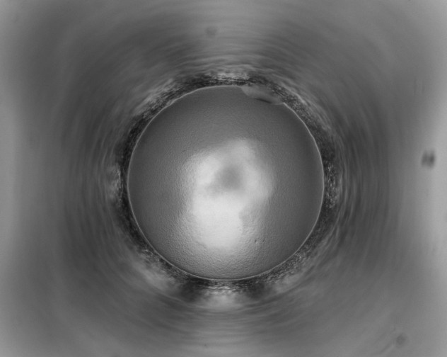 X0000099420704200805091243