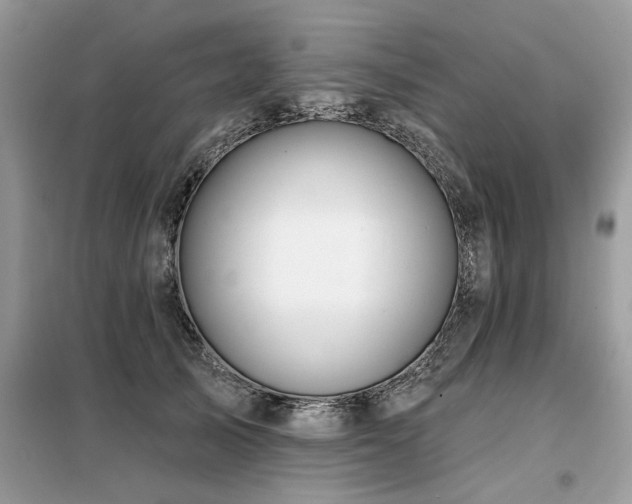 X0000099420705200805091243