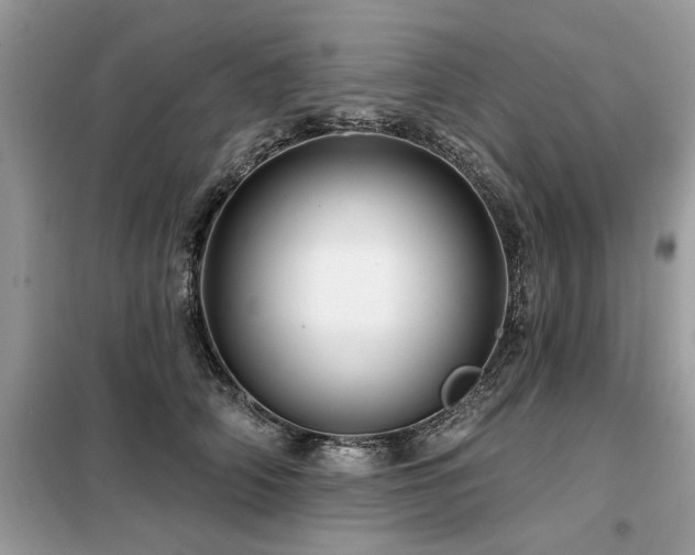 X0000099420706200805091243