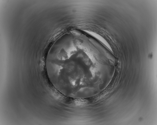 X0000099420707200805091243