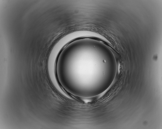 X0000099420708200805091243