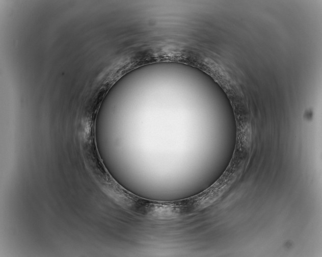 X0000099420709200805091243