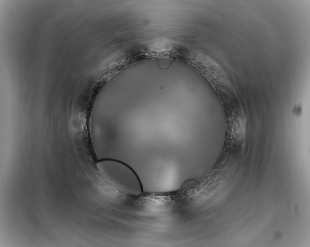 X0000099420711200805091243