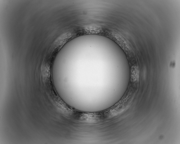 X0000099420713200805091243