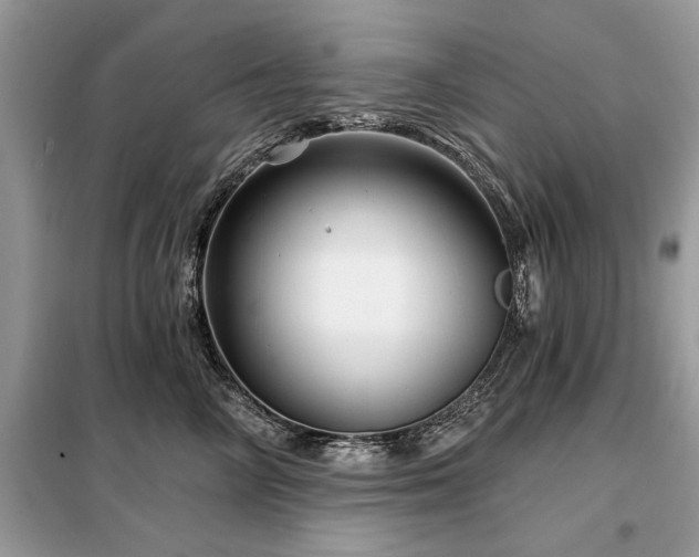 X0000099420714200805091243