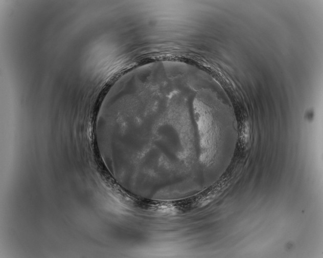 X0000099420715200805091243