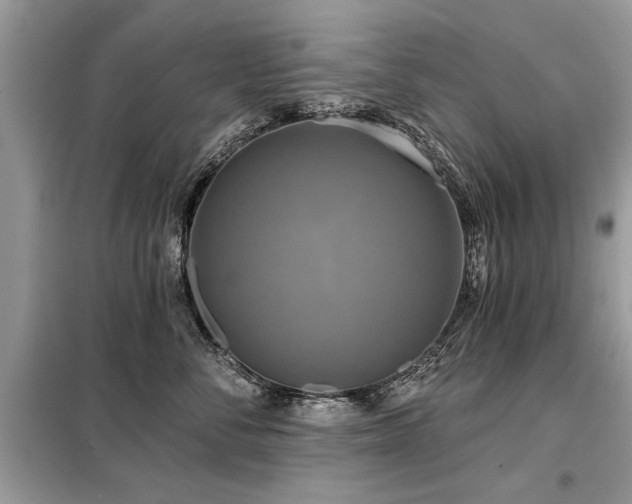 X0000099420716200805091243
