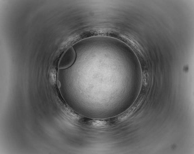 X0000099420718200805091242